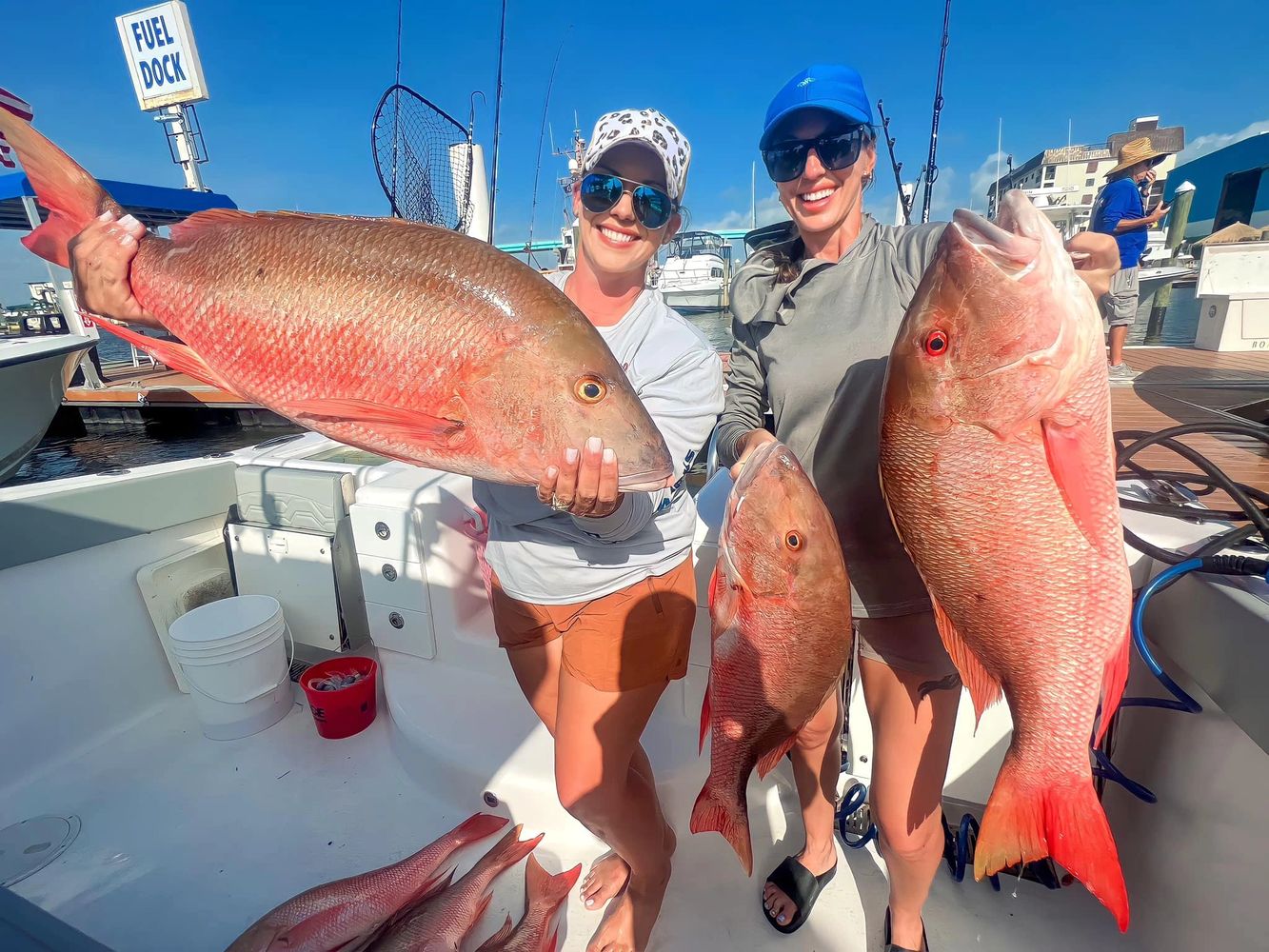 Deep Sea Fishing Fort Myers: Fishing The City Of Palms