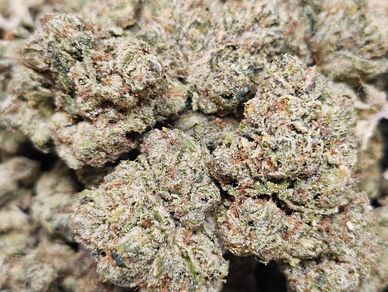 Premium cut OG