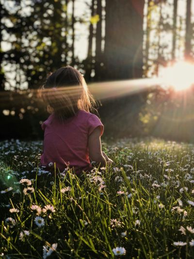 Child sitting in a flower field at sunset.