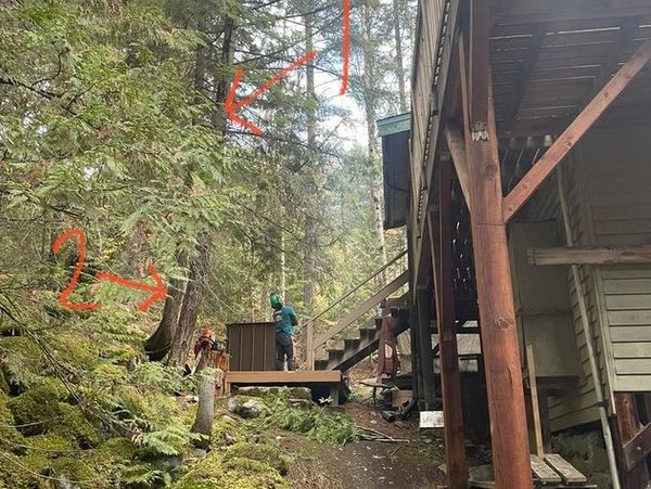 Whistler Tree Services Ltd