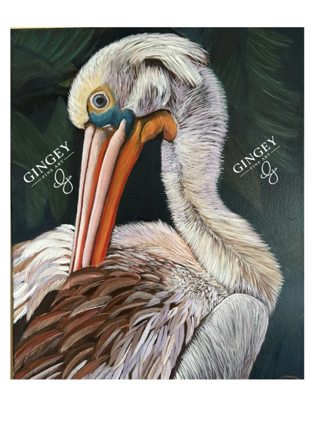 Detailed painting of a pelican preening its feathers.