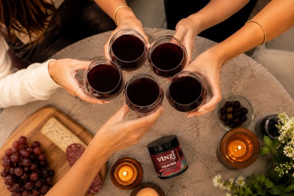 vinzi, non alcoholic wine, red wine non alcoholic, calming drink wine inspired