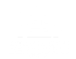 navales-bercovich.com