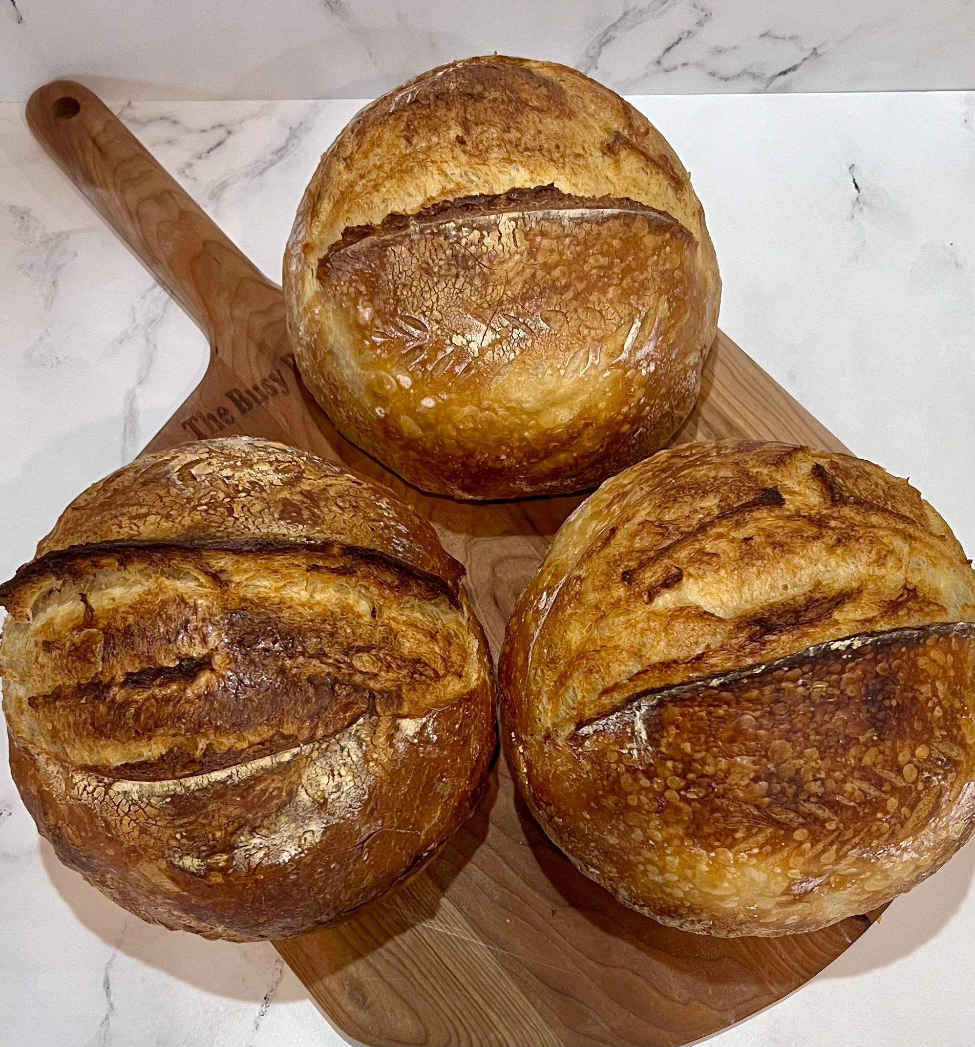 Busy Rolling Pin Sourdough Pin Sioux City Bakery