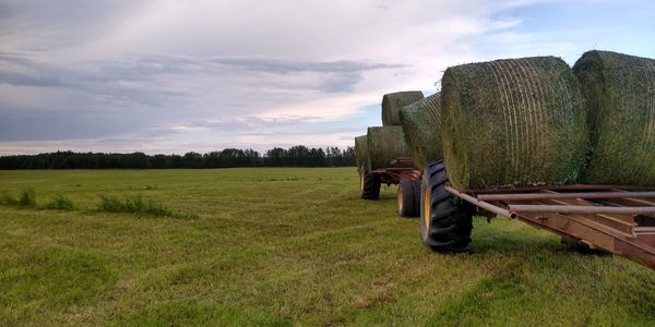 Loaded Hay Wagon