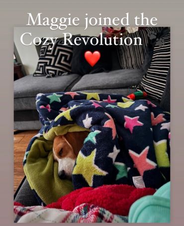 Dog sleeping in a  cozy star snuggle bed on sofa