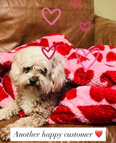 Cozy dog wrapped in heart-patterned snuggle sack on sofa