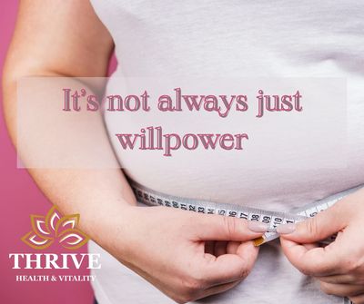 Medically guided weight loss program. Wilmington Ohio