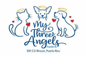 My Three Angels Foundation 