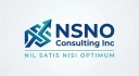NSNO Consulting