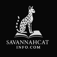 Savannah Cat Info