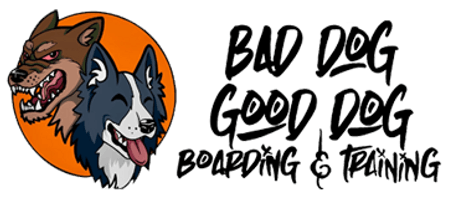 BAD DOG GOOD DOG BOARDING & TRAINING