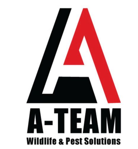 Bucks County-New Jersey
800-894-1046
Pocono Mountains 
800-766-9352