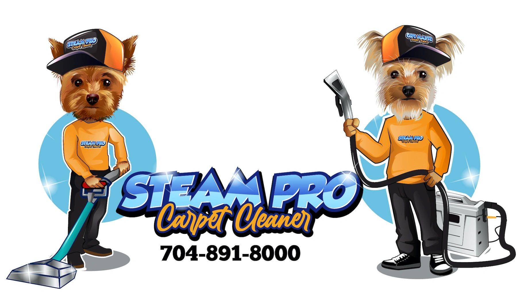 Steam Pro Carpet Cleaner - Carpet Cleaning, Upholstery Cleaning
