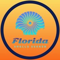 Florida Shells Seeker