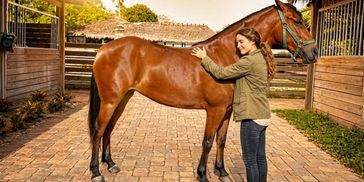 A woman affectionately hugs a brown horse in a sunny stable area.