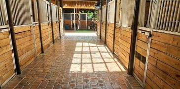 Sunlit stable aisle with wooden horse stalls on both sides.