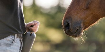 A person holding a flask near a horse face outdoors.