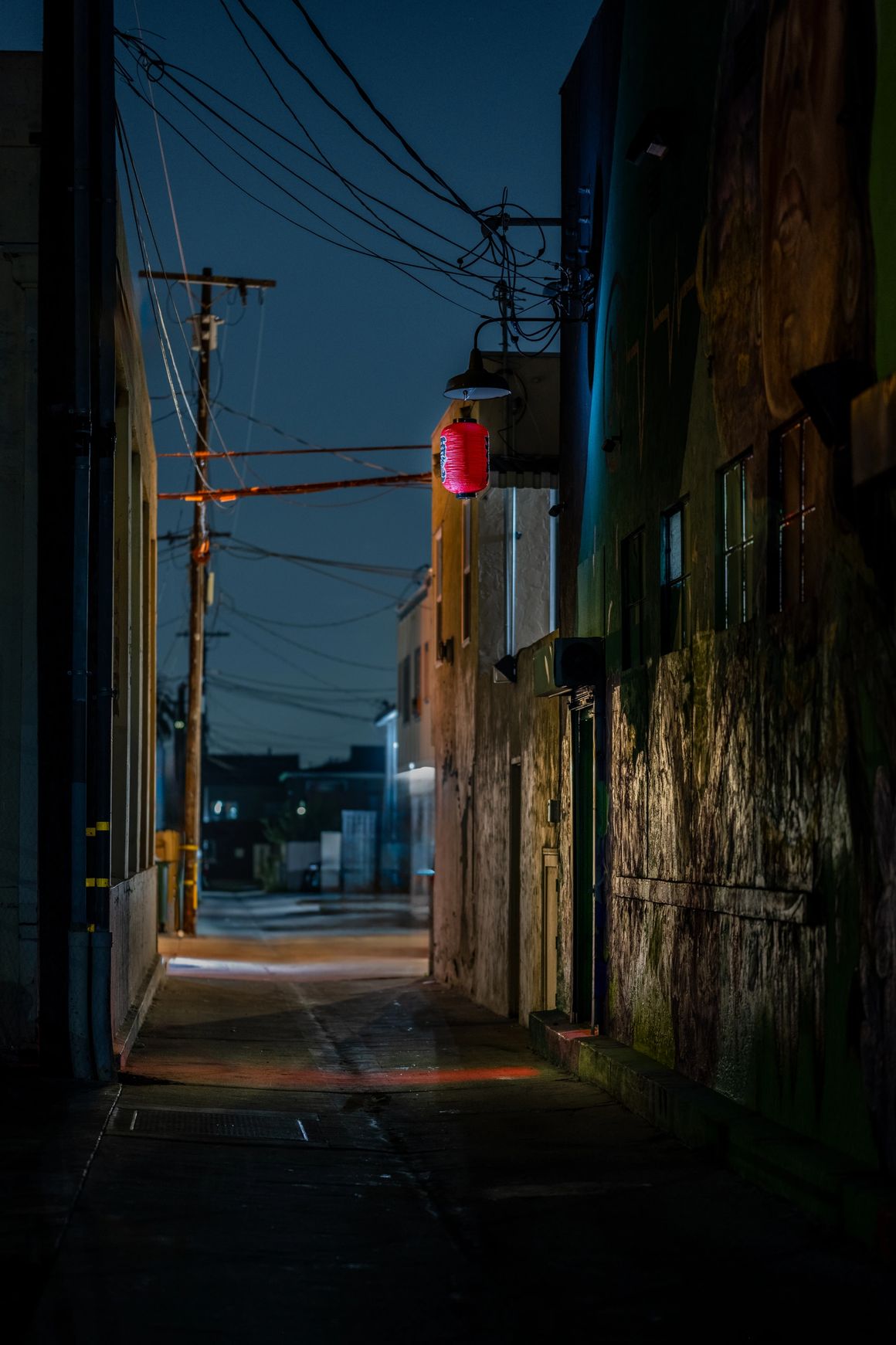 Tokyo Noir photo