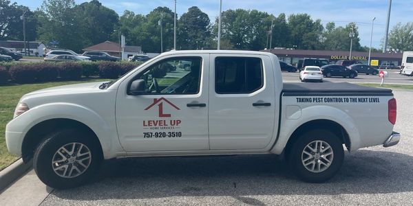 Pest Control Services Near You