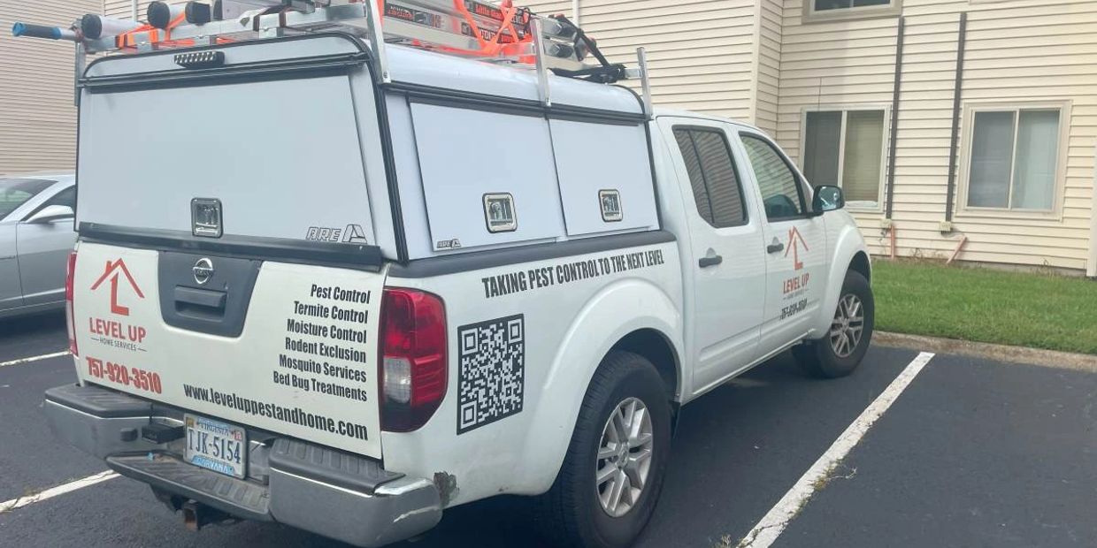 Pest Control Services Near Me