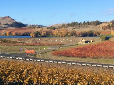 Napa county winery views