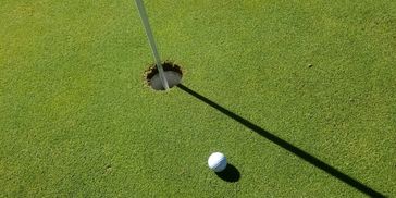 SliqqShott Golf - Golf Club Sightlines, Golf Improvement
