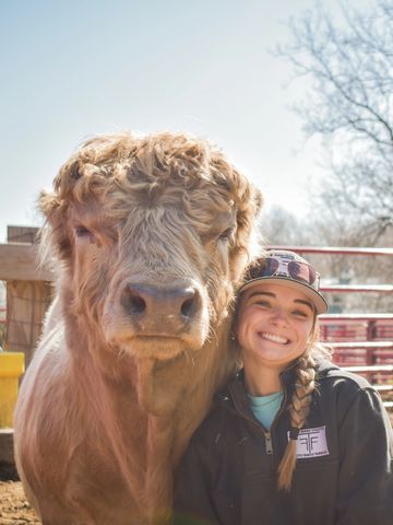 A smiling woman poses with a large fluffy brown cow outdoors.