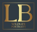 LB Wildlife Portraits 