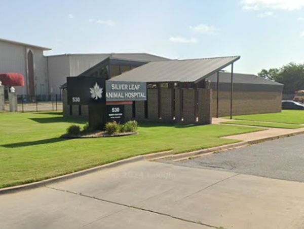 Silver Leaf Animal Hospital building with a sign on a sunny day.