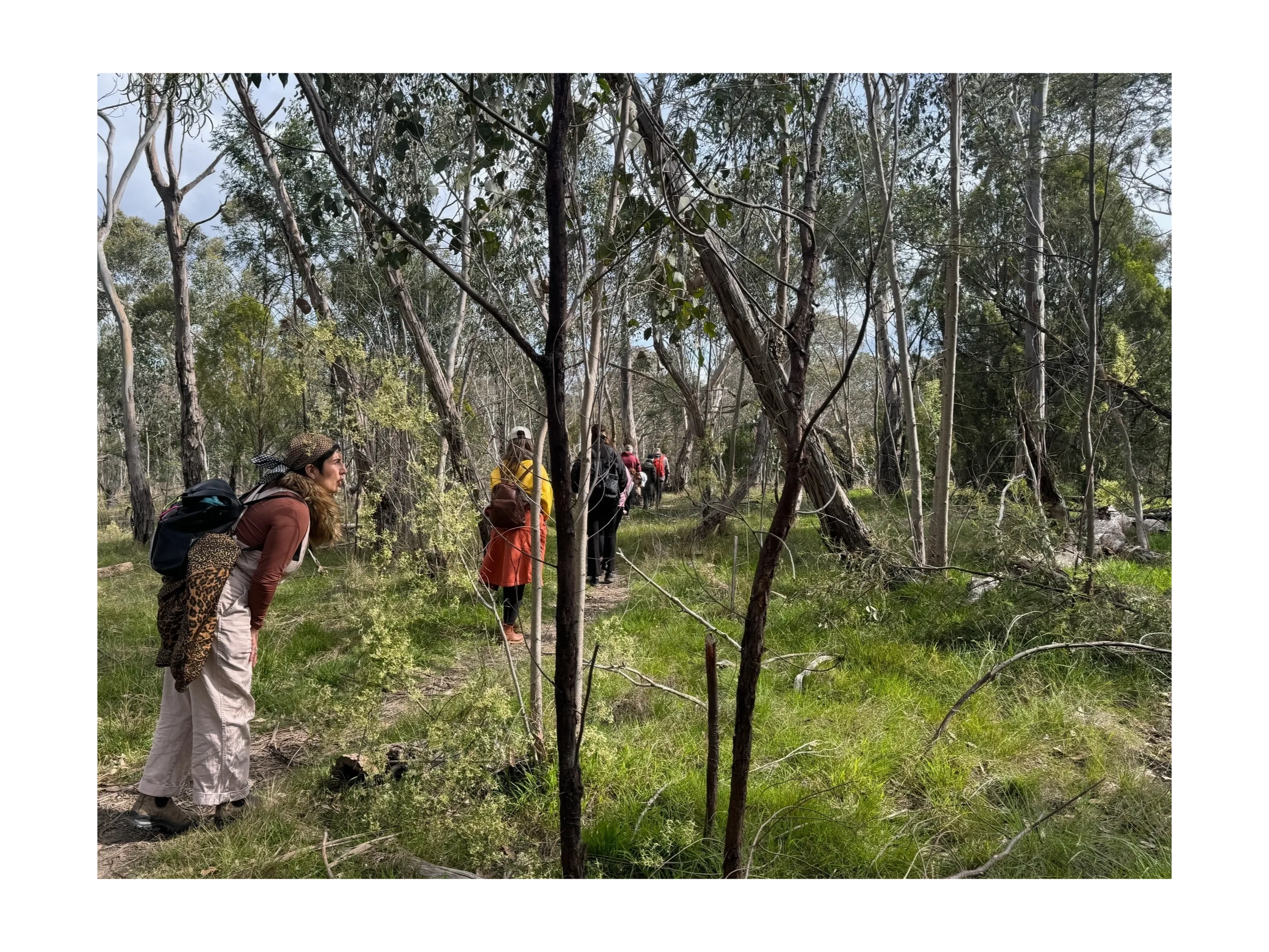 Flow foREST Therapy - Forest Therapy, Art Therapy, Nature Immersions