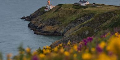 Lighthouse on a cliff with colorful flowers in the foreground.