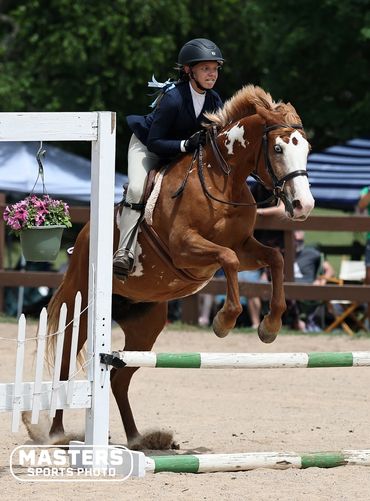 Equestrian jumper clearing an obstacle at a competition.