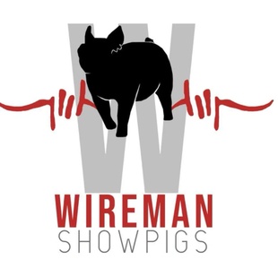 Wireman Showpigs