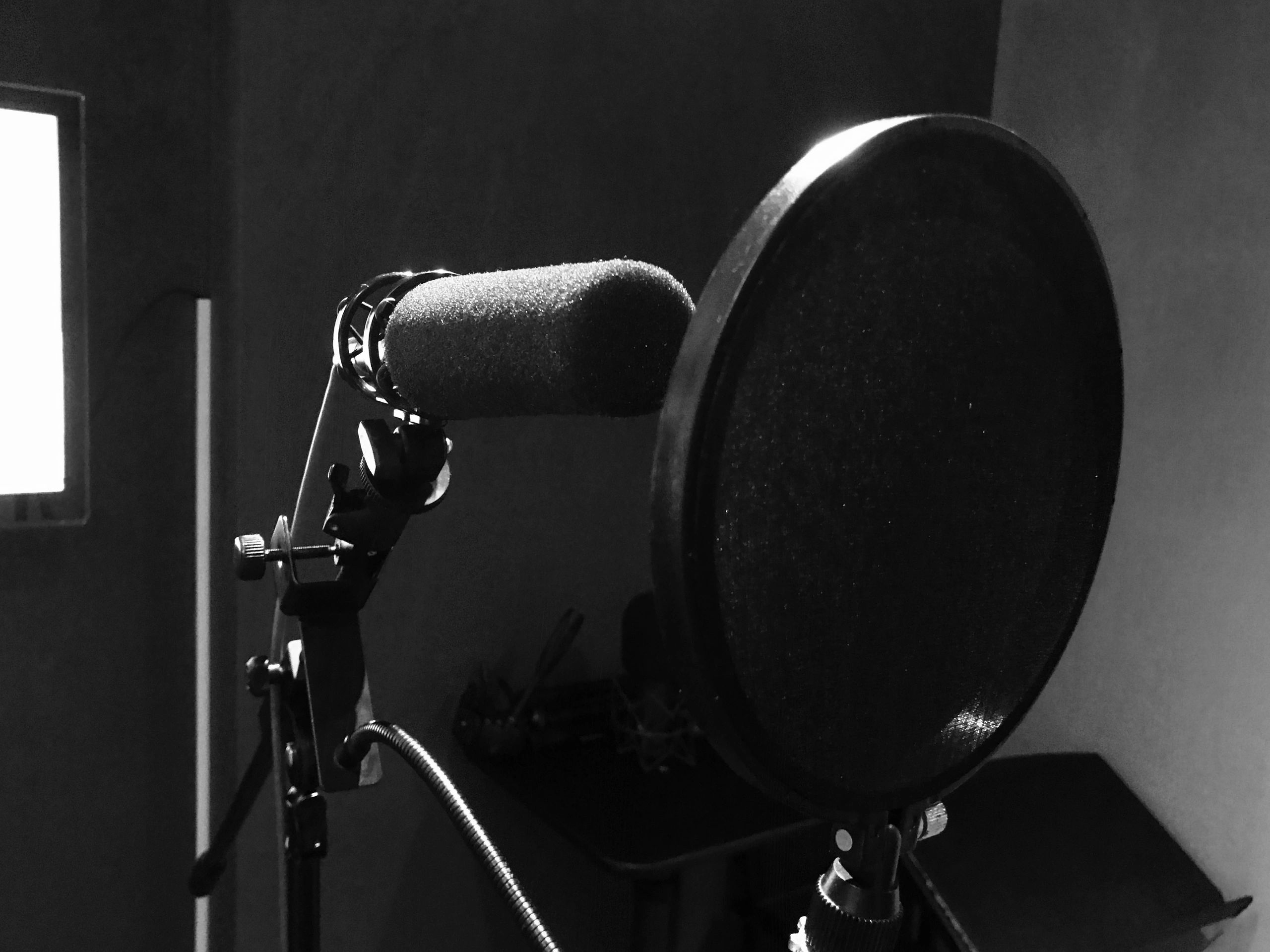 The reel voice