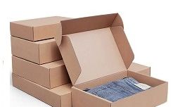 Bra box, Corrugated Packaging Box Manufacturer in India, Food Packaging  Box, Electronics Packaging Box, Garment Packaging Box, Die Cut Packaging  Box