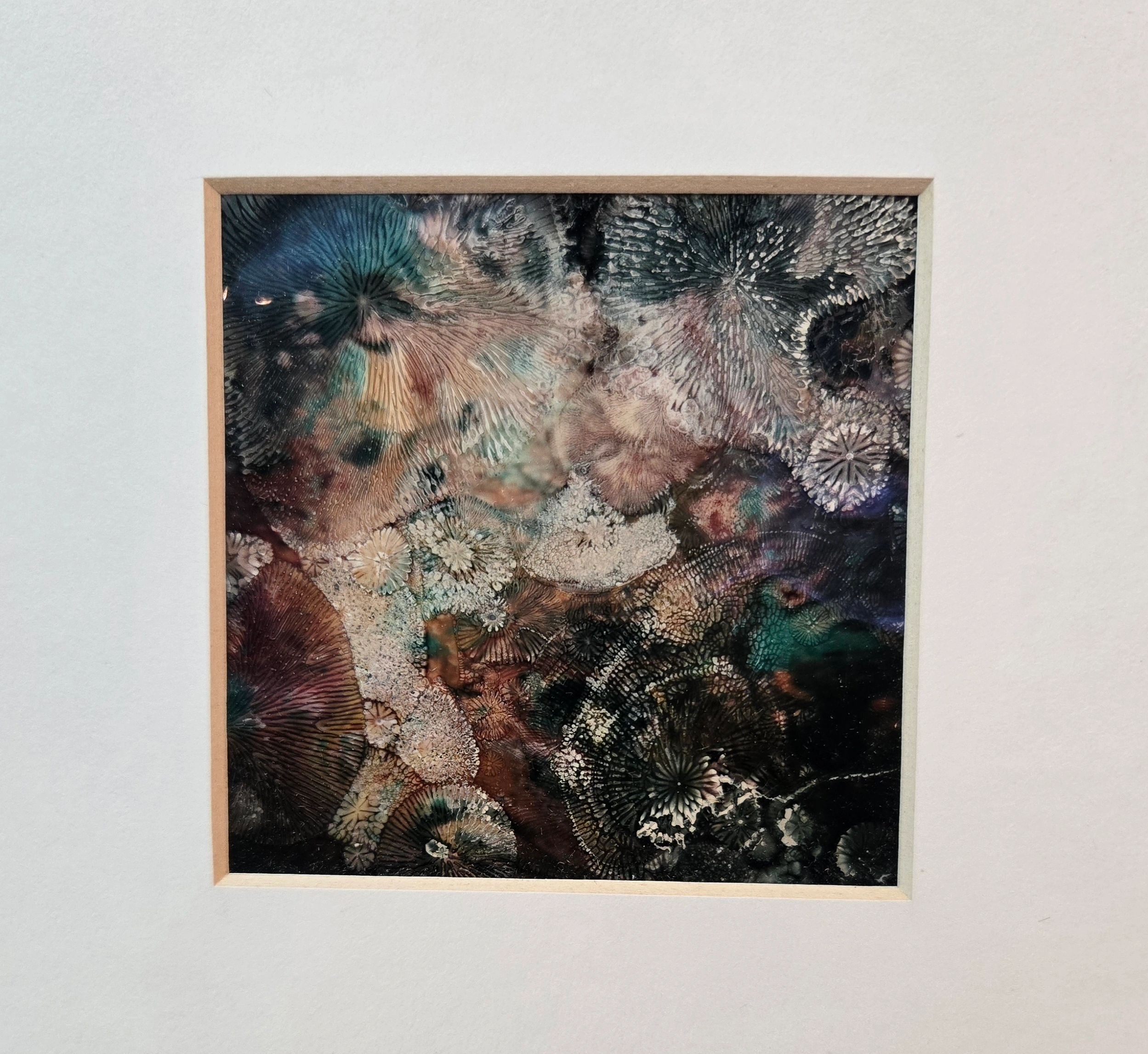 Altered SX-70