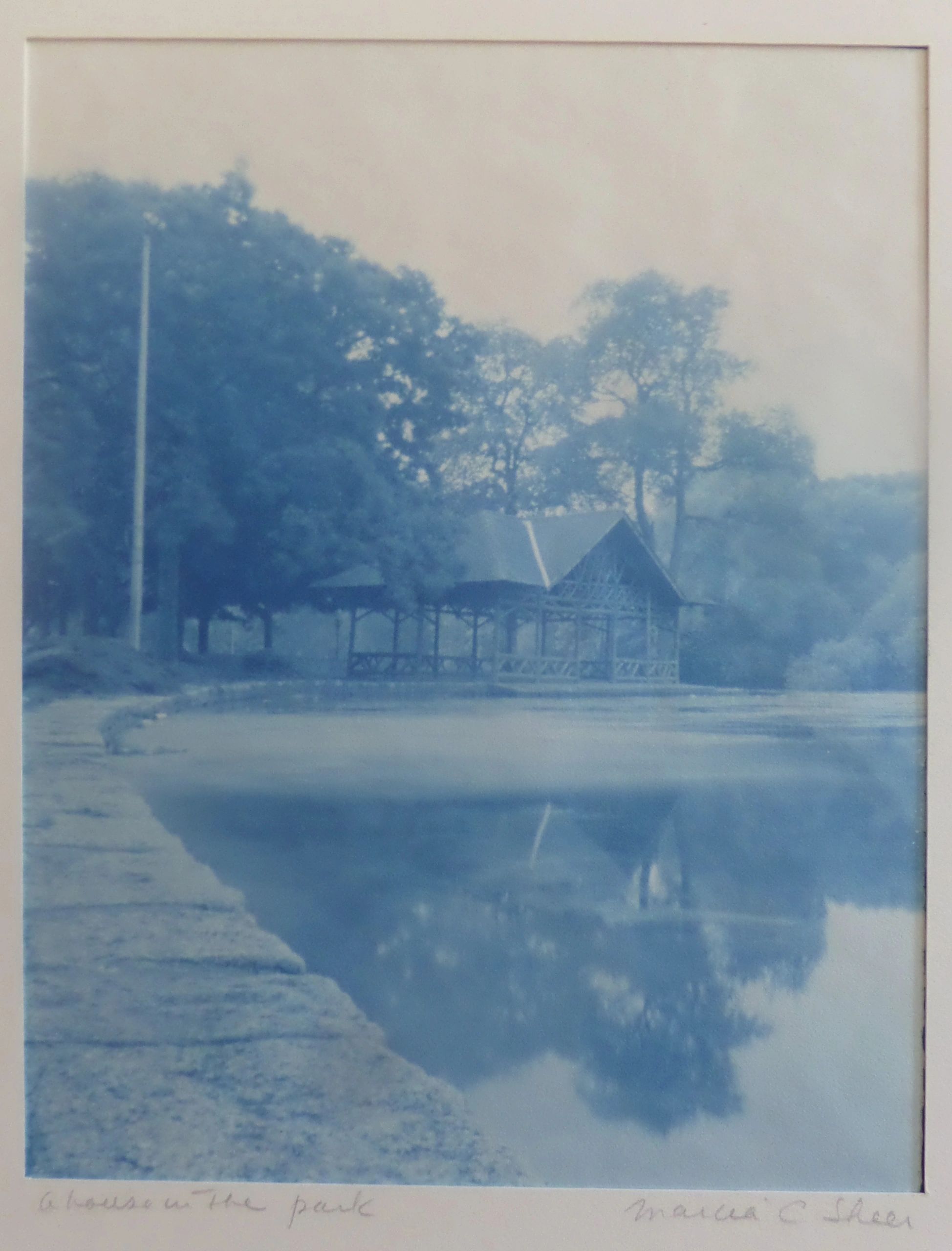 Marcia C. Sheer — Central Park