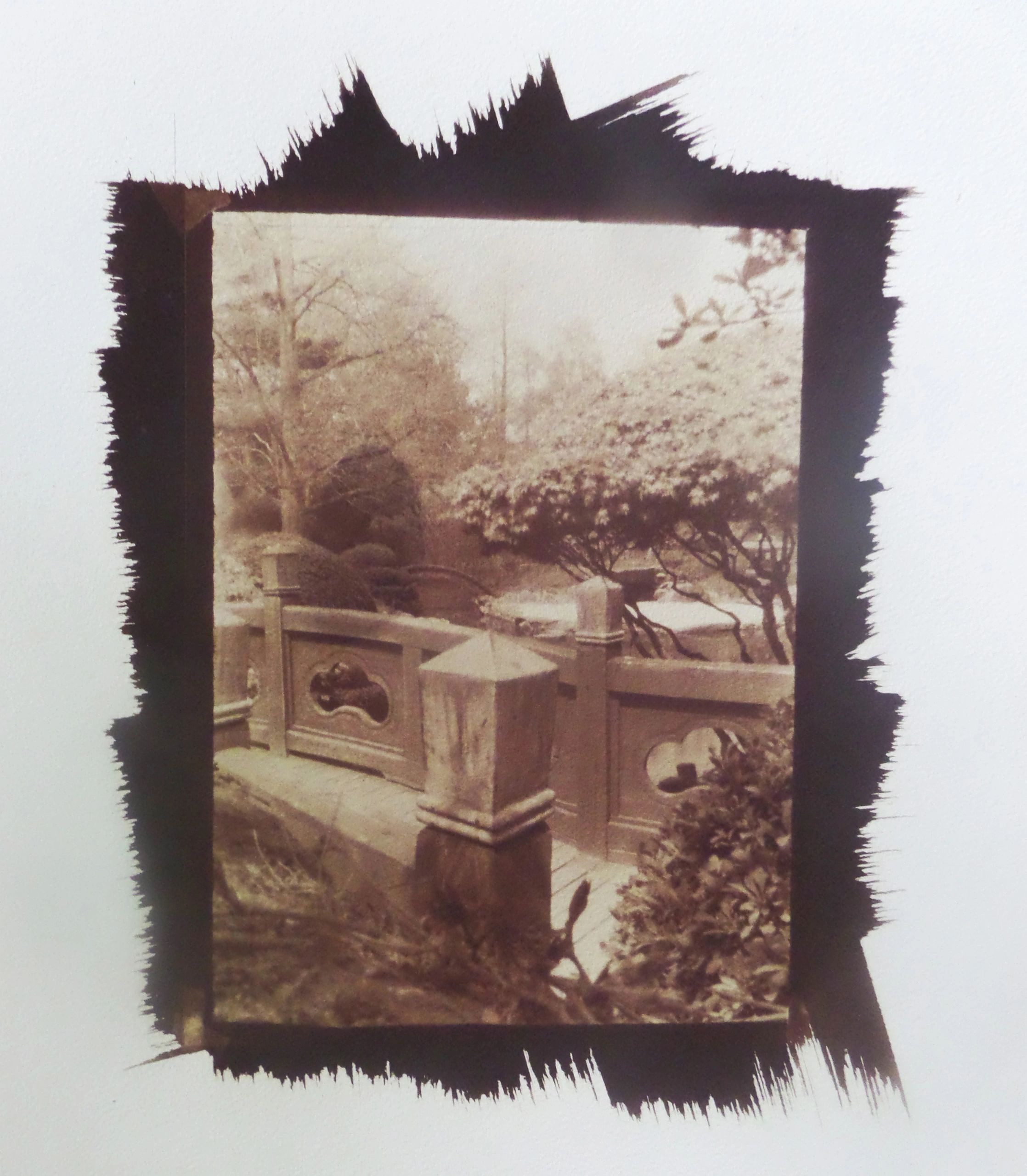 Marcia C. Sheer — fine art photograph
