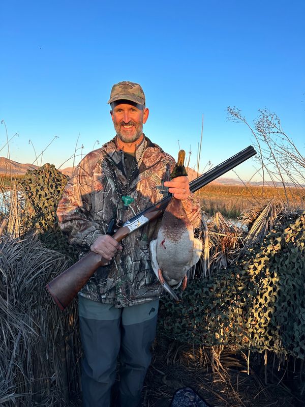 duck hunting in southern California mallard duck