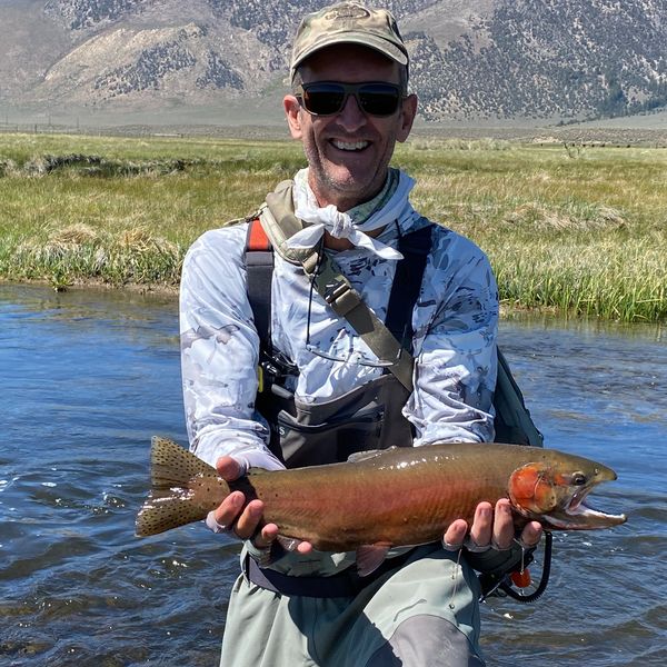 fly fishing in the sierras, cutthroat trout