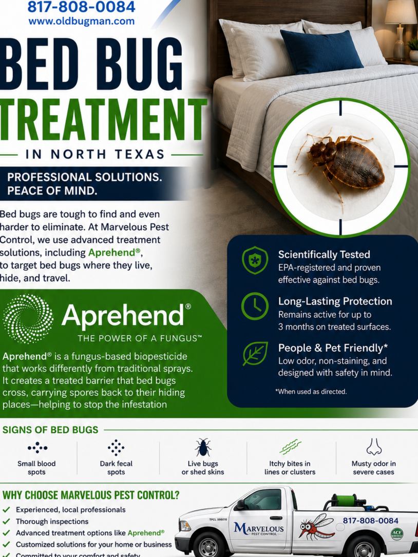 Professional bed bug treatment using Aprehend fungus-based biopesticide in North Texas.