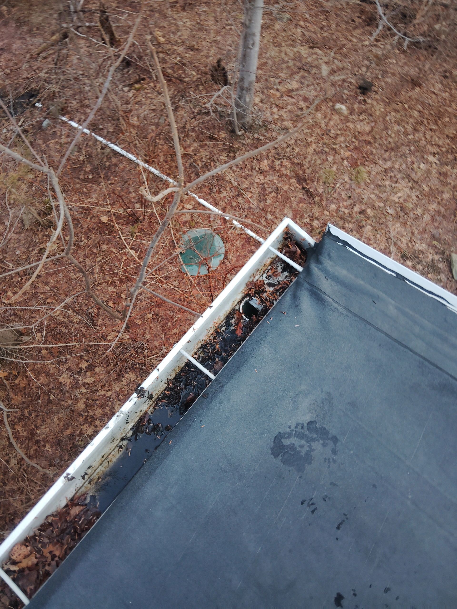 Debris buildup in a roof gutter before cleaning in Scarborough, ME