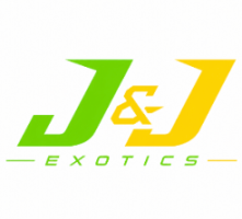 J&J