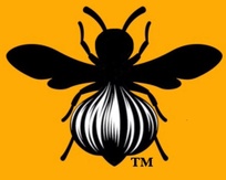Dr Bees 