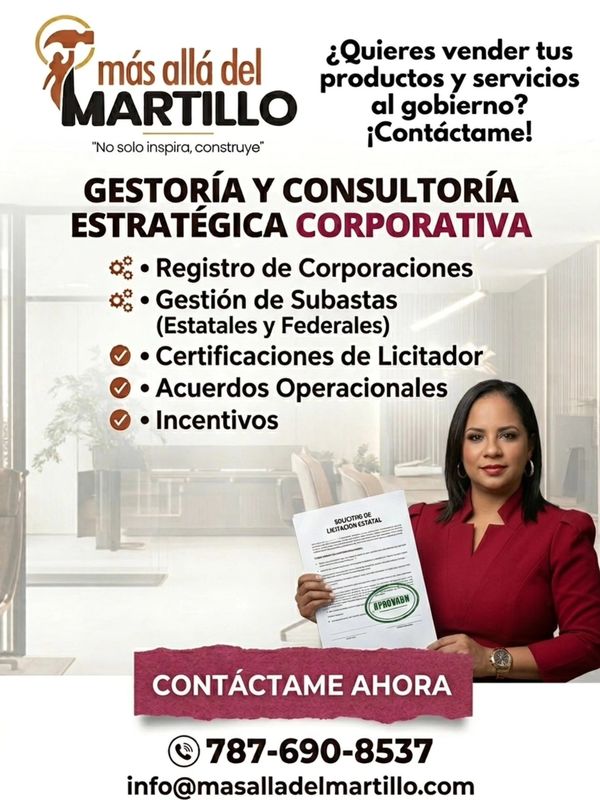 Consultoría y gestoría para vender productos y servicios al gobierno.