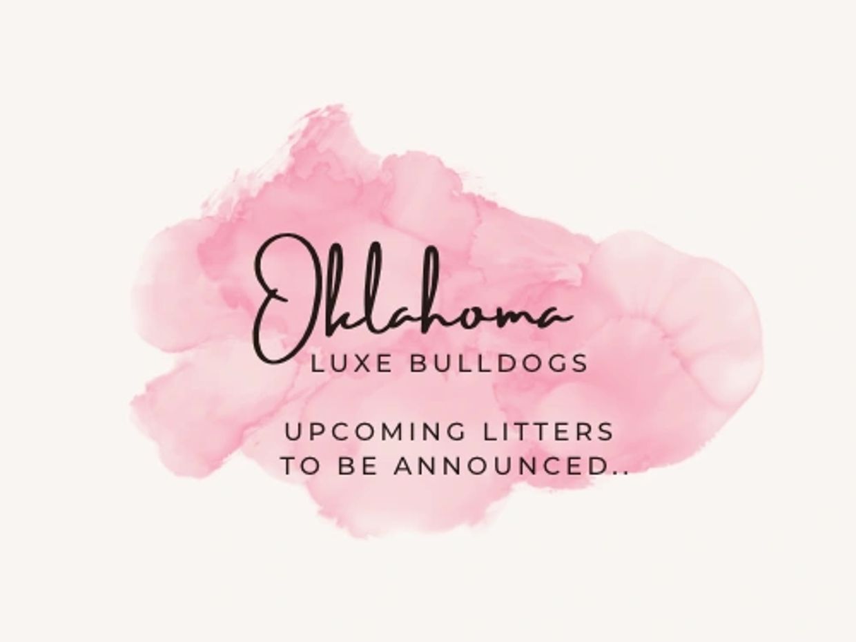 Upcoming Litter