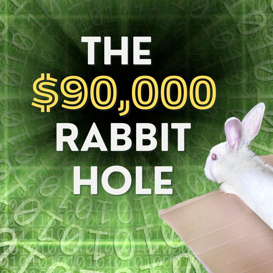 The $90,000 Rabbit Hole