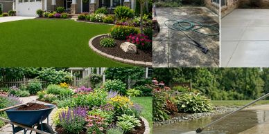 Before and after photos of a lawn transformation and patio cleaning.