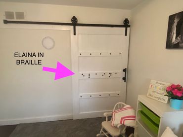 triple shaker middle brace braille barn door 